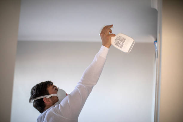 Best Best Mold Removal Companies  in New Vienna, OH